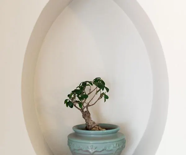 Tatil Evi Bellevue Homes