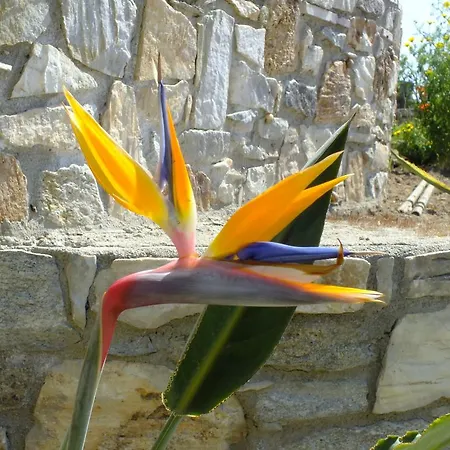 Holiday home Bellevue Homes Kavala